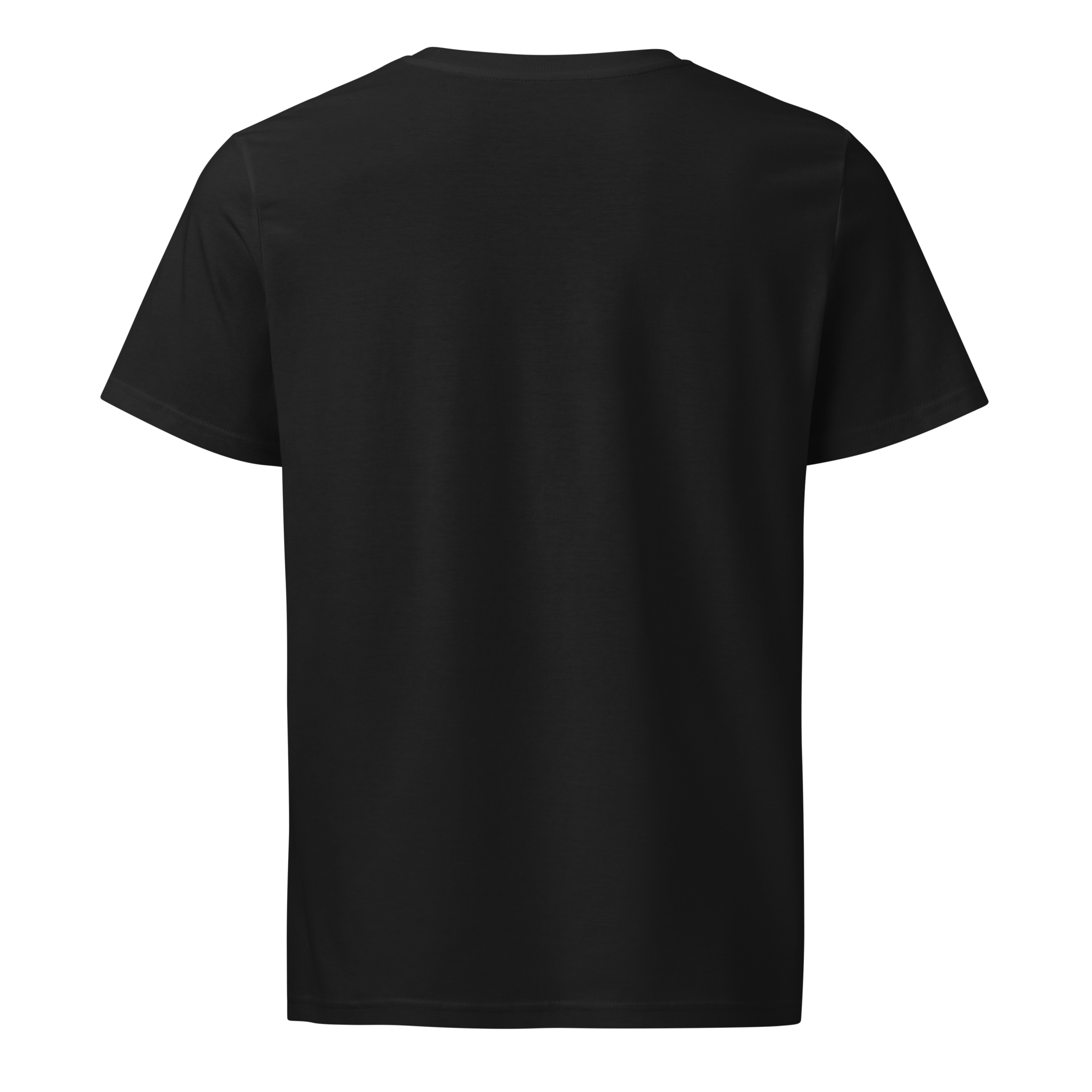 unisex-organic-mid-light-crafter-t-shirt-black-back-69d5e0ca5855a.png